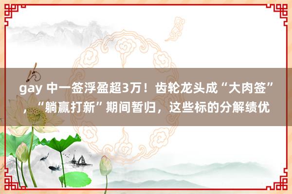 gay 中一签浮盈超3万！齿轮龙头成“大肉签”，“躺赢打新”期间暂归，这些标的分解绩优