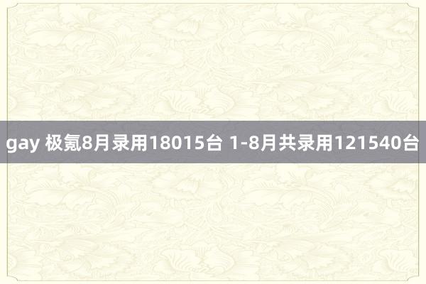 gay 极氪8月录用18015台 1-8月共录用121540台