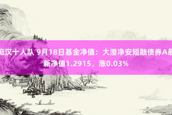 痴汉十人队 9月18日基金净值：大澄净安短融债券A最新净值1.2915，涨0.03%