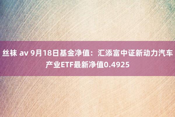 丝袜 av 9月18日基金净值：汇添富中证新动力汽车产业ETF最新净值0.4925