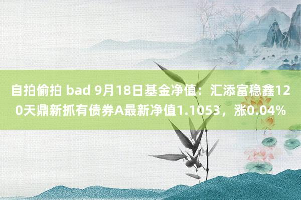 自拍偷拍 bad 9月18日基金净值：汇添富稳鑫120天鼎新抓有债券A最新净值1.1053，涨0.04%