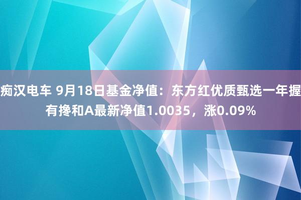 痴汉电车 9月18日基金净值：东方红优质甄选一年握有搀和A最新净值1.0035，涨0.09%