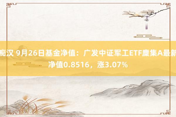 痴汉 9月26日基金净值：广发中证军工ETF麇集A最新净值0.8516，涨3.07%