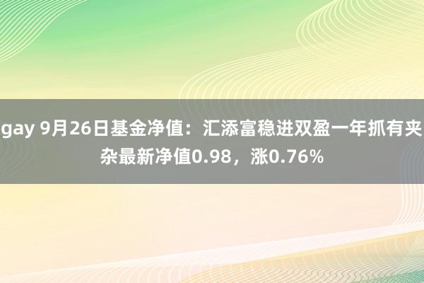 gay 9月26日基金净值：汇添富稳进双盈一年抓有夹杂最新净值0.98，涨0.76%