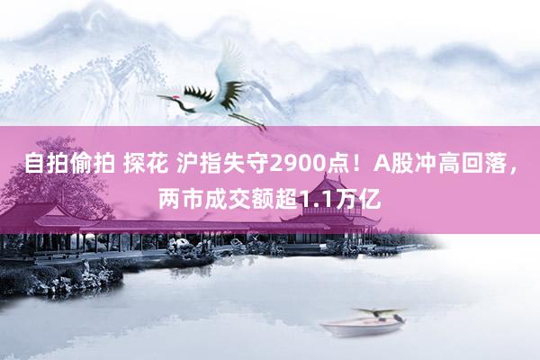 自拍偷拍 探花 沪指失守2900点！A股冲高回落，两市成交额超1.1万亿