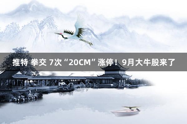 推特 拳交 7次“20CM”涨停！9月大牛股来了