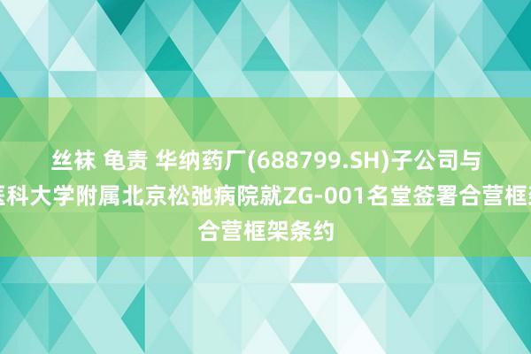 丝袜 龟责 华纳药厂(688799.SH)子公司与齐门医科大学附属北京松弛病院就ZG-001名堂签署合营框架条约