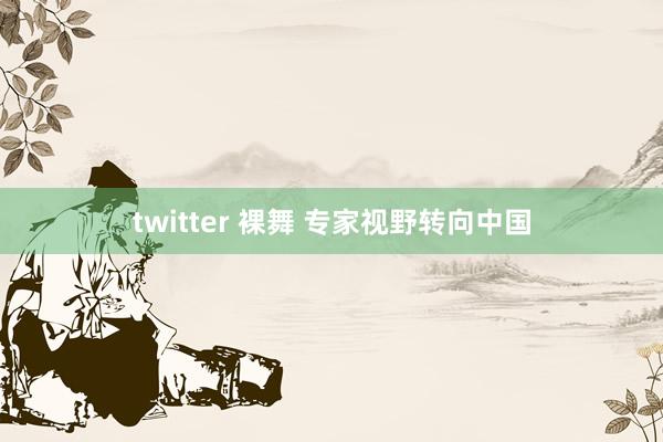 twitter 裸舞 专家视野转向中国