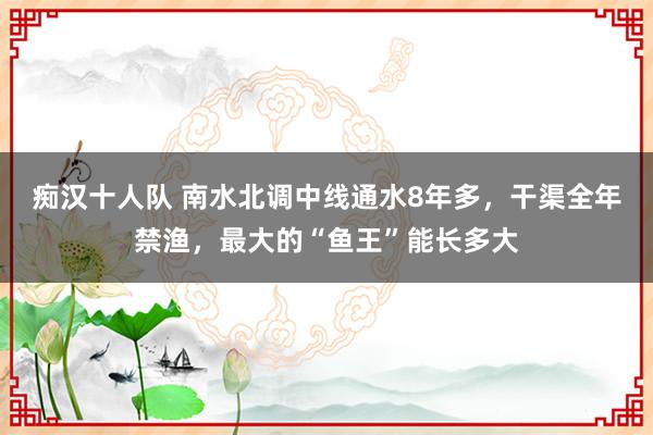 痴汉十人队 南水北调中线通水8年多，干渠全年禁渔，最大的“鱼王”能长多大