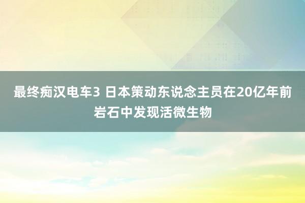 最终痴汉电车3 日本策动东说念主员在20亿年前岩石中发现活微生物