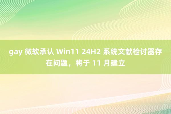 gay 微软承认 Win11 24H2 系统文献检讨器存在问题，将于 11 月建立