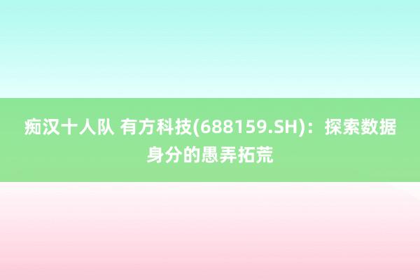 痴汉十人队 有方科技(688159.SH)：探索数据身分的愚弄拓荒