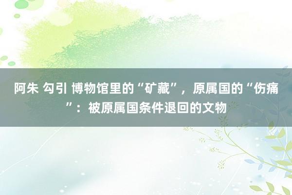 阿朱 勾引 博物馆里的“矿藏”，原属国的“伤痛”：被原属国条件退回的文物