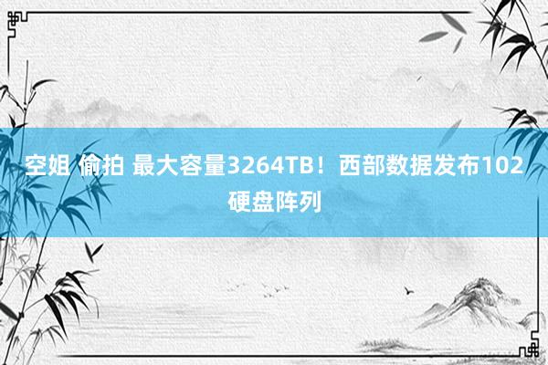 空姐 偷拍 最大容量3264TB！西部数据发布102硬盘阵列