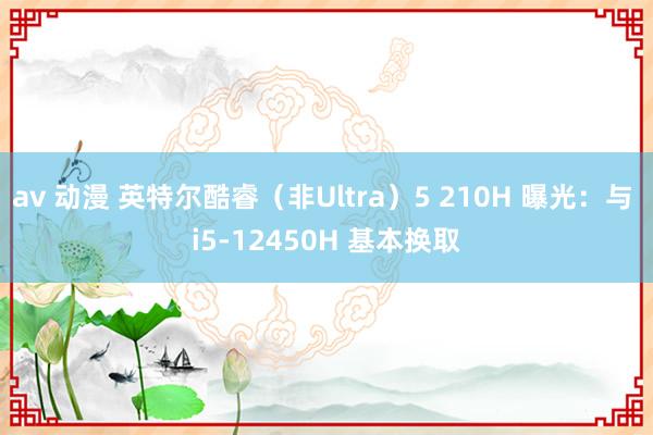 av 动漫 英特尔酷睿（非Ultra）5 210H 曝光：与 i5-12450H 基本换取