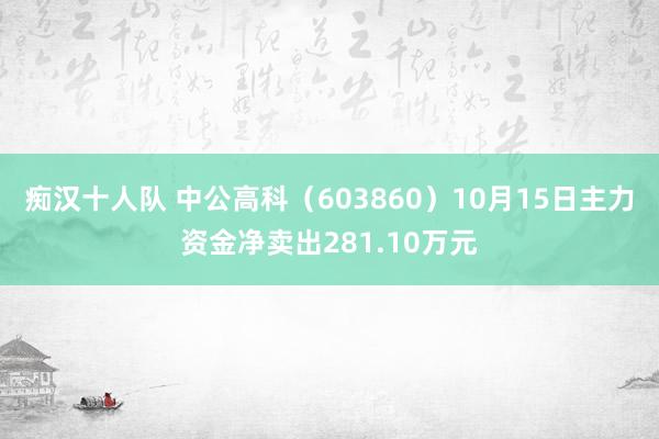 痴汉十人队 中公高科（603860）10月15日主力资金净卖出281.10万元