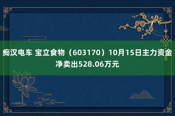 痴汉电车 宝立食物（603170）10月15日主力资金净卖出528.06万元