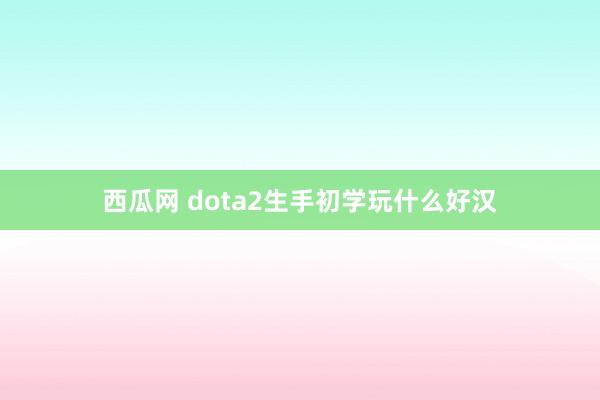 西瓜网 dota2生手初学玩什么好汉