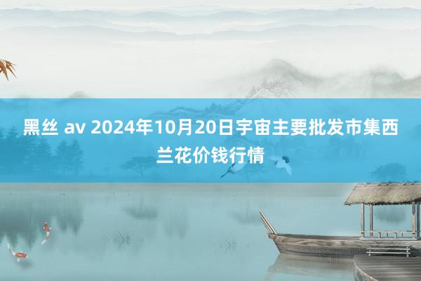 黑丝 av 2024年10月20日宇宙主要批发市集西兰花价钱行情