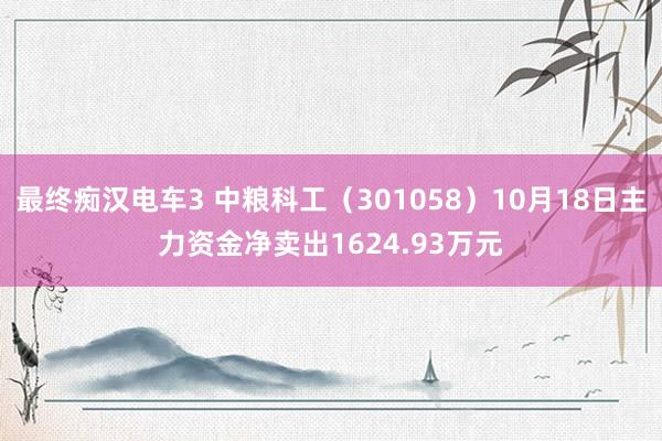 最终痴汉电车3 中粮科工（301058）10月18日主力资金净卖出1624.93万元