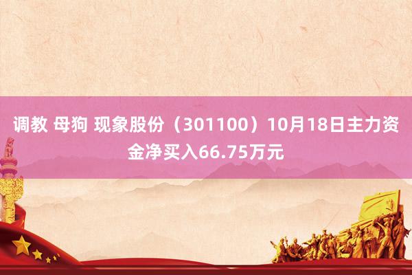 调教 母狗 现象股份（301100）10月18日主力资金净买入66.75万元