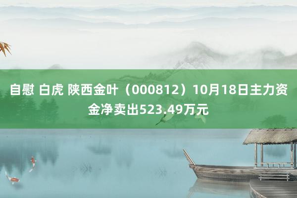 自慰 白虎 陕西金叶（000812）10月18日主力资金净卖出523.49万元