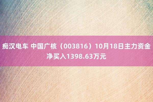 痴汉电车 中国广核（003816）10月18日主力资金净买入1398.63万元