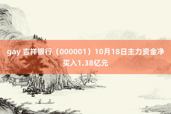 gay 吉祥银行（000001）10月18日主力资金净买入1.38亿元