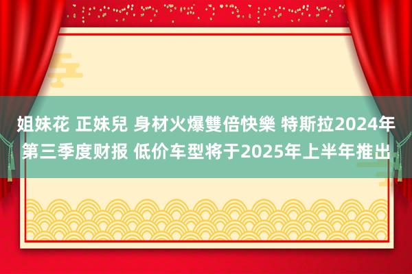 姐妹花 正妹兒 身材火爆雙倍快樂 特斯拉2024年第三季度财报 低价车型将于2025年上半年推出