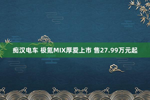 痴汉电车 极氪MIX厚爱上市 售27.99万元起