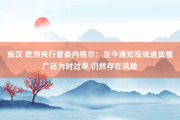 痴汉 欧洲央行管委内格尔：当今通知投诚通货推广还为时过早 仍然存在风险