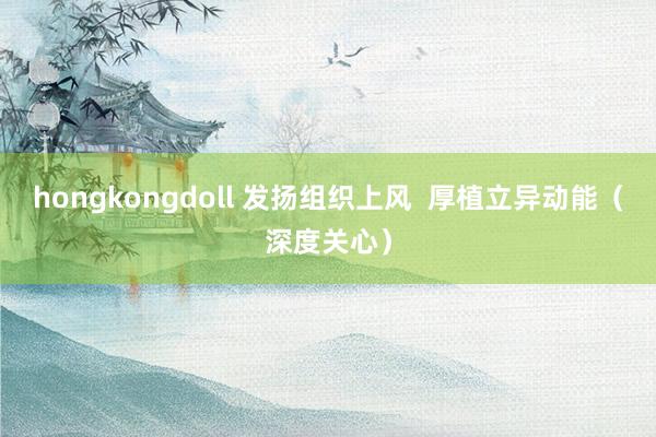 hongkongdoll 发扬组织上风  厚植立异动能（深度关心）