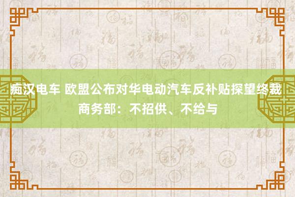 痴汉电车 欧盟公布对华电动汽车反补贴探望终裁 商务部：不招供、不给与