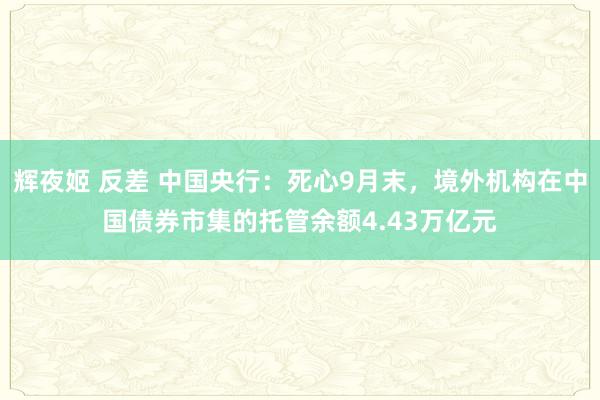 辉夜姬 反差 中国央行：死心9月末，境外机构在中国债券市集的托管余额4.43万亿元