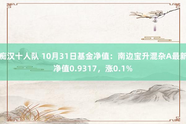 痴汉十人队 10月31日基金净值：南边宝升混杂A最新净值0.9317，涨0.1%