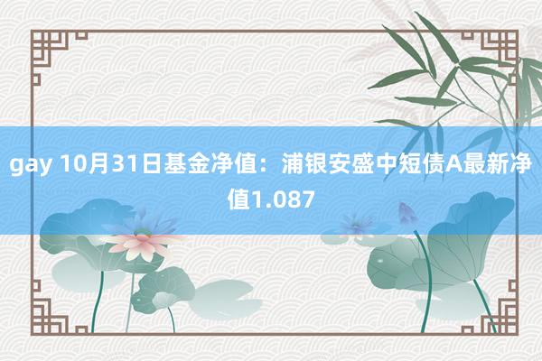 gay 10月31日基金净值：浦银安盛中短债A最新净值1.087