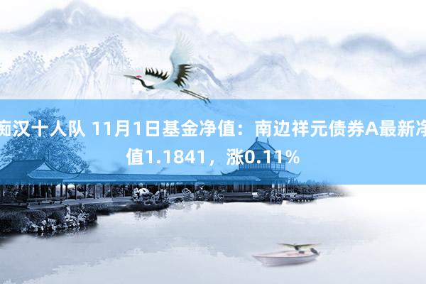 痴汉十人队 11月1日基金净值：南边祥元债券A最新净值1.1841，涨0.11%