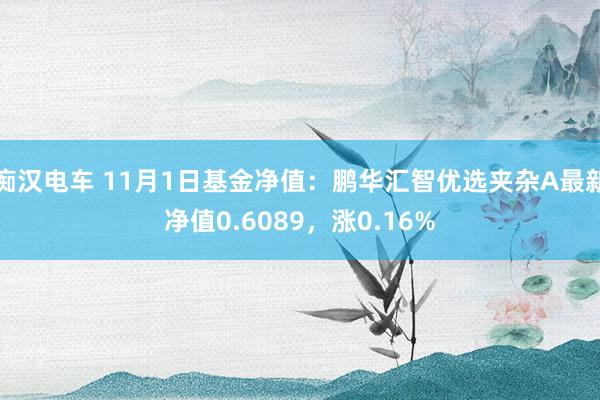 痴汉电车 11月1日基金净值：鹏华汇智优选夹杂A最新净值0.6089，涨0.16%