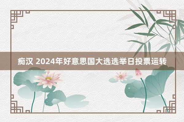 痴汉 2024年好意思国大选选举日投票运转