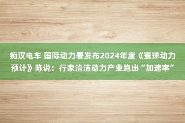 痴汉电车 国际动力署发布2024年度《寰球动力预计》陈说：行家清洁动力产业跑出“加速率”