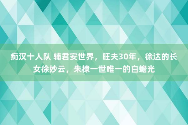 痴汉十人队 辅君安世界，旺夫30年，徐达的长女徐妙云，朱棣一世唯一的白蟾光