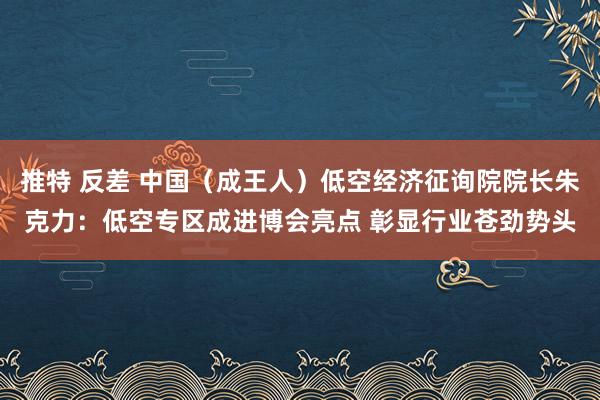 推特 反差 中国（成王人）低空经济征询院院长朱克力：低空专区成进博会亮点 彰显行业苍劲势头