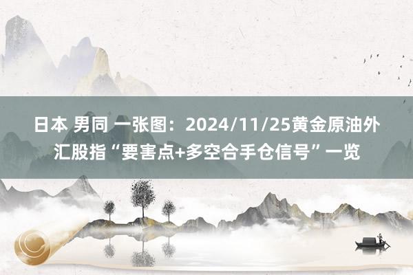 日本 男同 一张图：2024/11/25黄金原油外汇股指“要害点+多空合手仓信号”一览