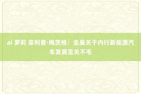 ai 萝莉 菲利普·梅茨格：圭臬关于内行新能源汽车发展至关不毛