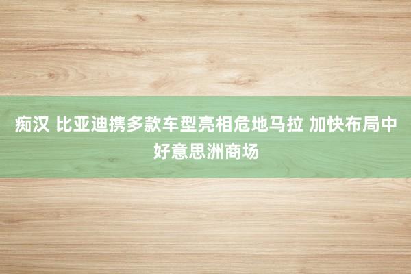 痴汉 比亚迪携多款车型亮相危地马拉 加快布局中好意思洲商场