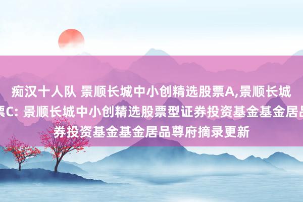 痴汉十人队 景顺长城中小创精选股票A，景顺长城中小创精选股票C: 景顺长城中小创精选股票型证券投资基金基金居品尊府摘录更新