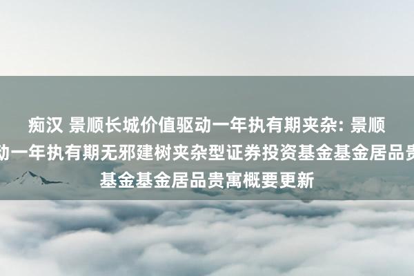 痴汉 景顺长城价值驱动一年执有期夹杂: 景顺长城价值驱动一年执有期无邪建树夹杂型证券投资基金基金居品贵寓概要更新