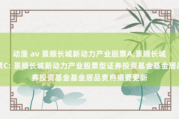 动漫 av 景顺长城新动力产业股票A，景顺长城新动力产业股票C: 景顺长城新动力产业股票型证券投资基金基金居品贵府撮要更新