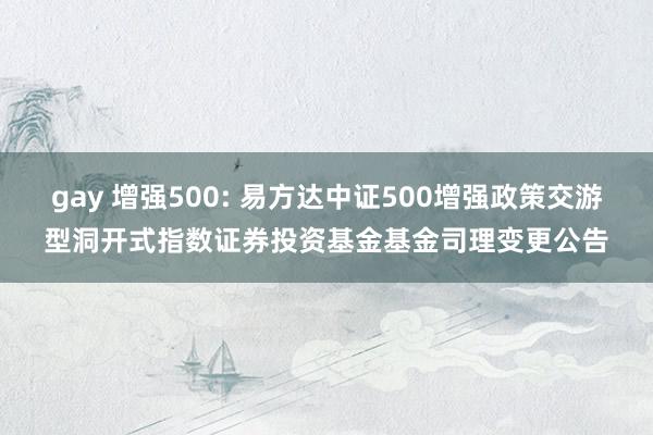 gay 增强500: 易方达中证500增强政策交游型洞开式指数证券投资基金基金司理变更公告