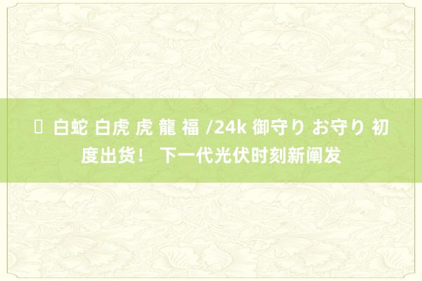 ✨白蛇 白虎 虎 龍 福 /24k 御守り お守り 初度出货！ 下一代光伏时刻新阐发